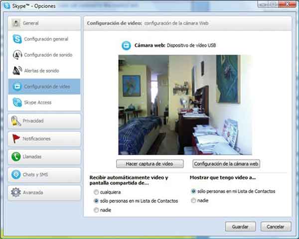 Skype videovigilancia