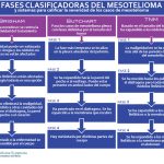 fases del mesothelioma