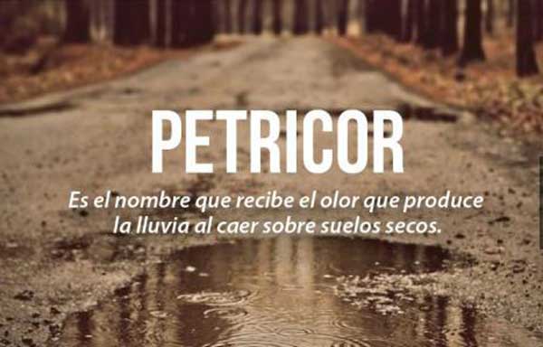 Petricor : El olor de la Lluvia