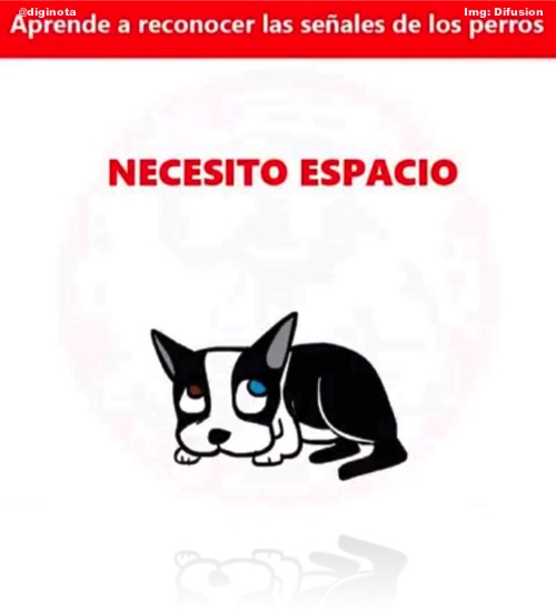 postura de los perros