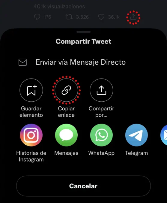 Descargar Videos de Instagram y Otras Redes Fácil y Rápido en iPhone 9