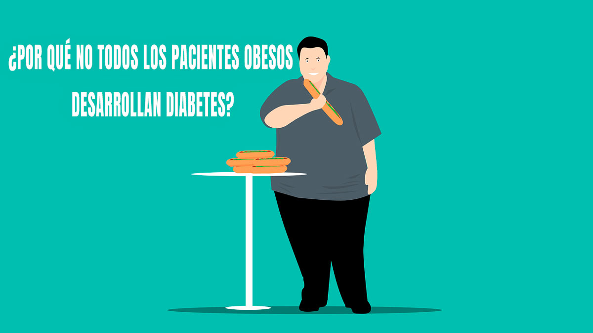 diabetes obesos